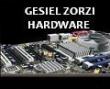 Gesiel Zorzi's Photo