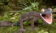 kelvin Marinho's Photo