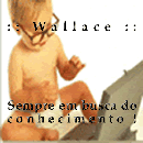 :: Wallace ::'s Photo