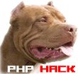 php-hack's Photo