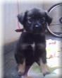 Jnior Nascimento's Photo