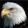 Migrando Emails Do Cpanel Para O Plesk - last post by Dsio Lacerda