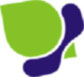 Ricardo Pantani's Photo
