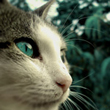 Max William's Photo