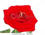 jarlen's Photo