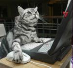 Rubia Matos's Photo