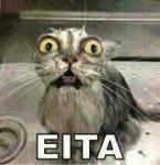 Blackman_Gomes's Photo